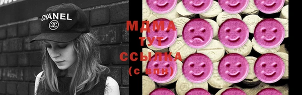 индика Мегион