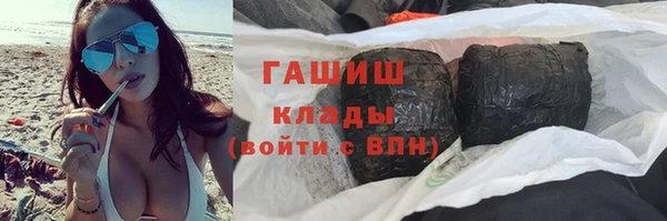 прущие грибы Ельня