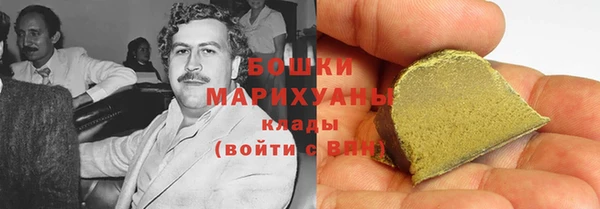 индика Мегион