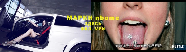прущие грибы Ельня