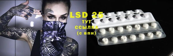 прущие грибы Ельня