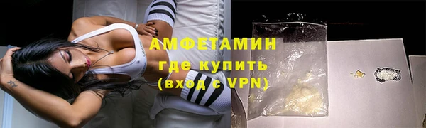 прущие грибы Ельня