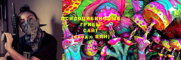 индика Мегион