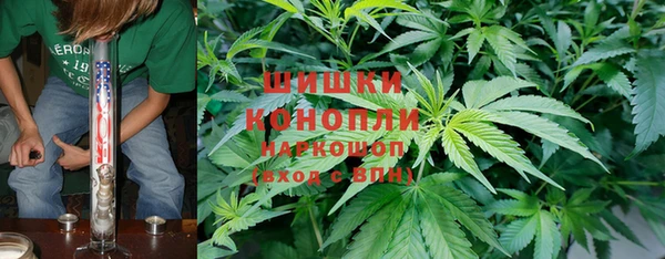 прущие грибы Ельня