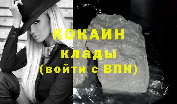 прущие грибы Ельня