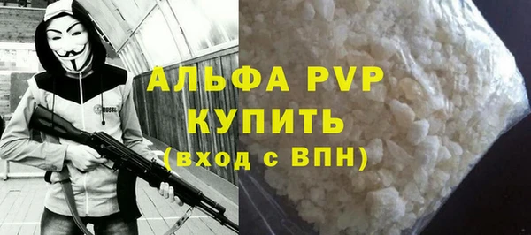 прущие грибы Ельня