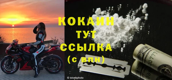 прущие грибы Ельня