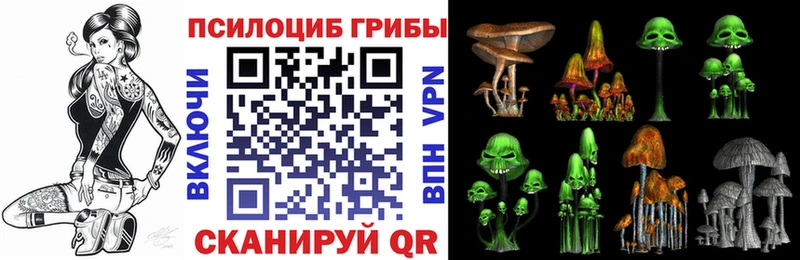 Псилоцибиновые грибы мухоморы kraken Хвалынск продажа наркотиков
